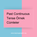 past continuous tense örnek cümleler