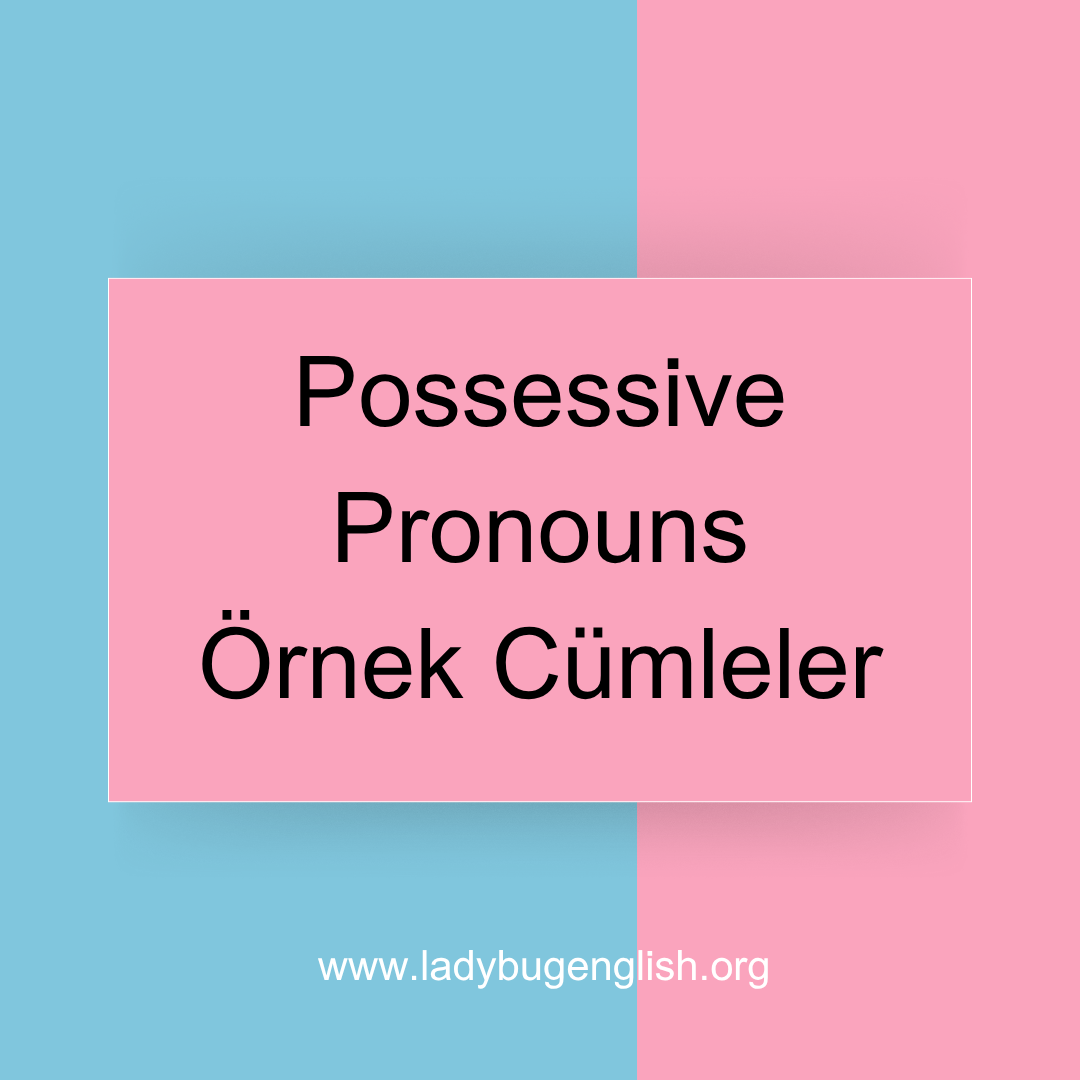 Possessive Pronouns Örnek Cümleler