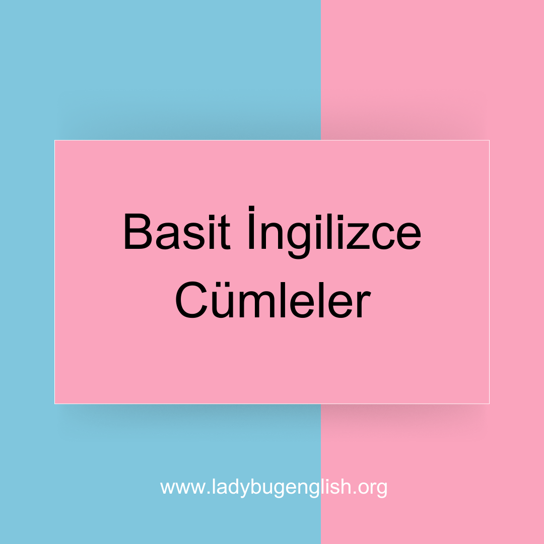 basit ingilizce cümleler
